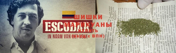 spice Балахна